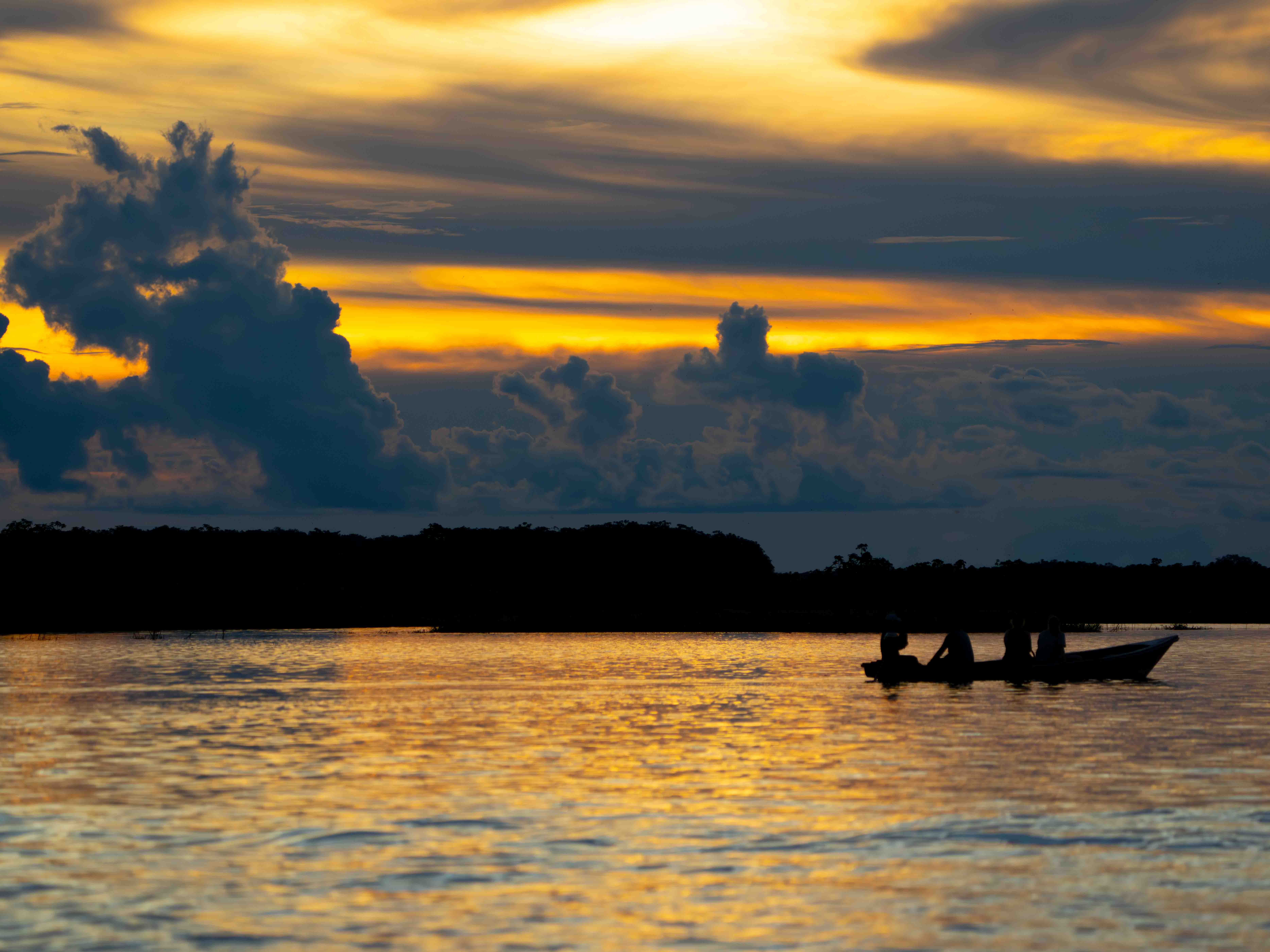 nature photography