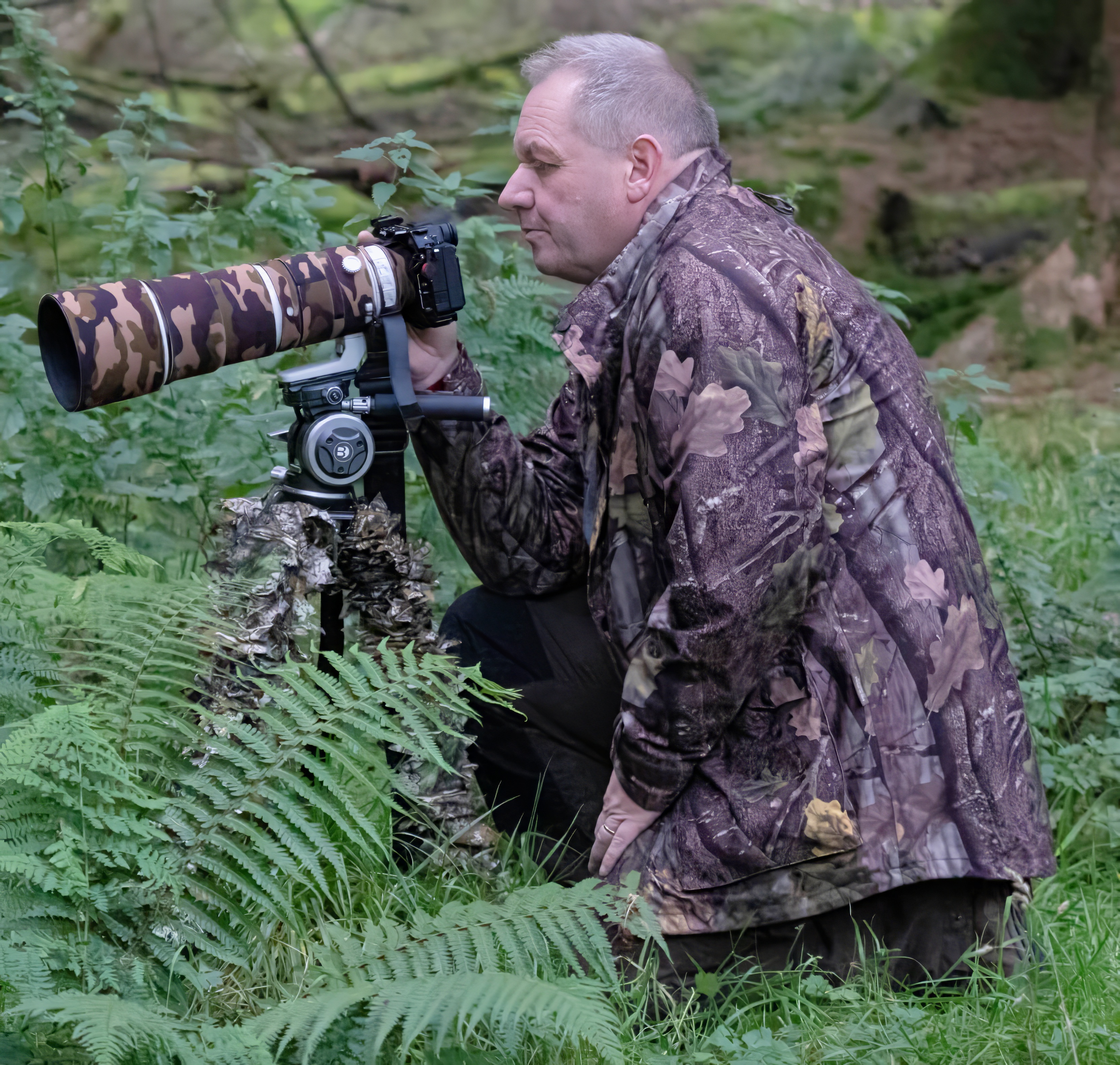wildlife photography camera