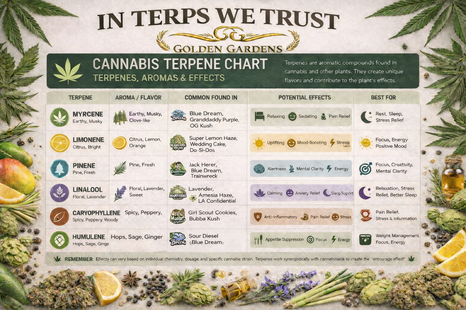 Terpene chart
