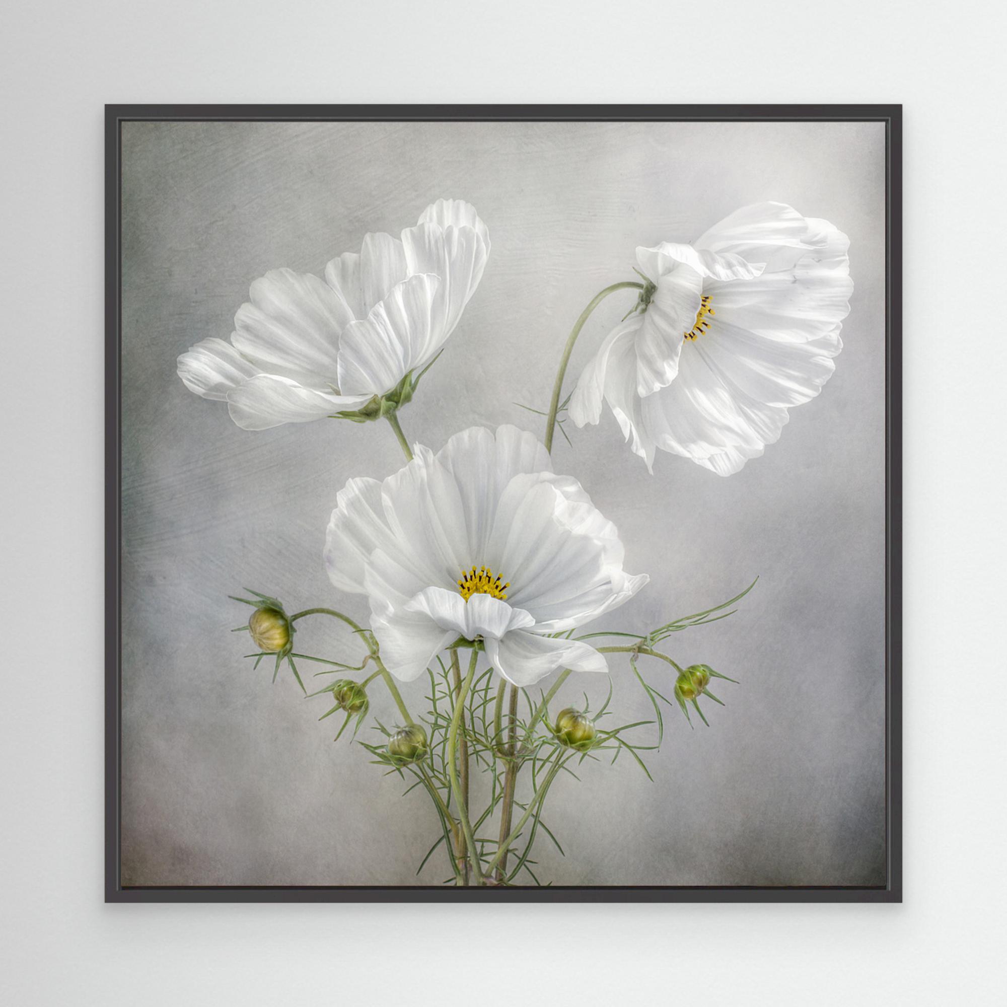 choose botanical prints