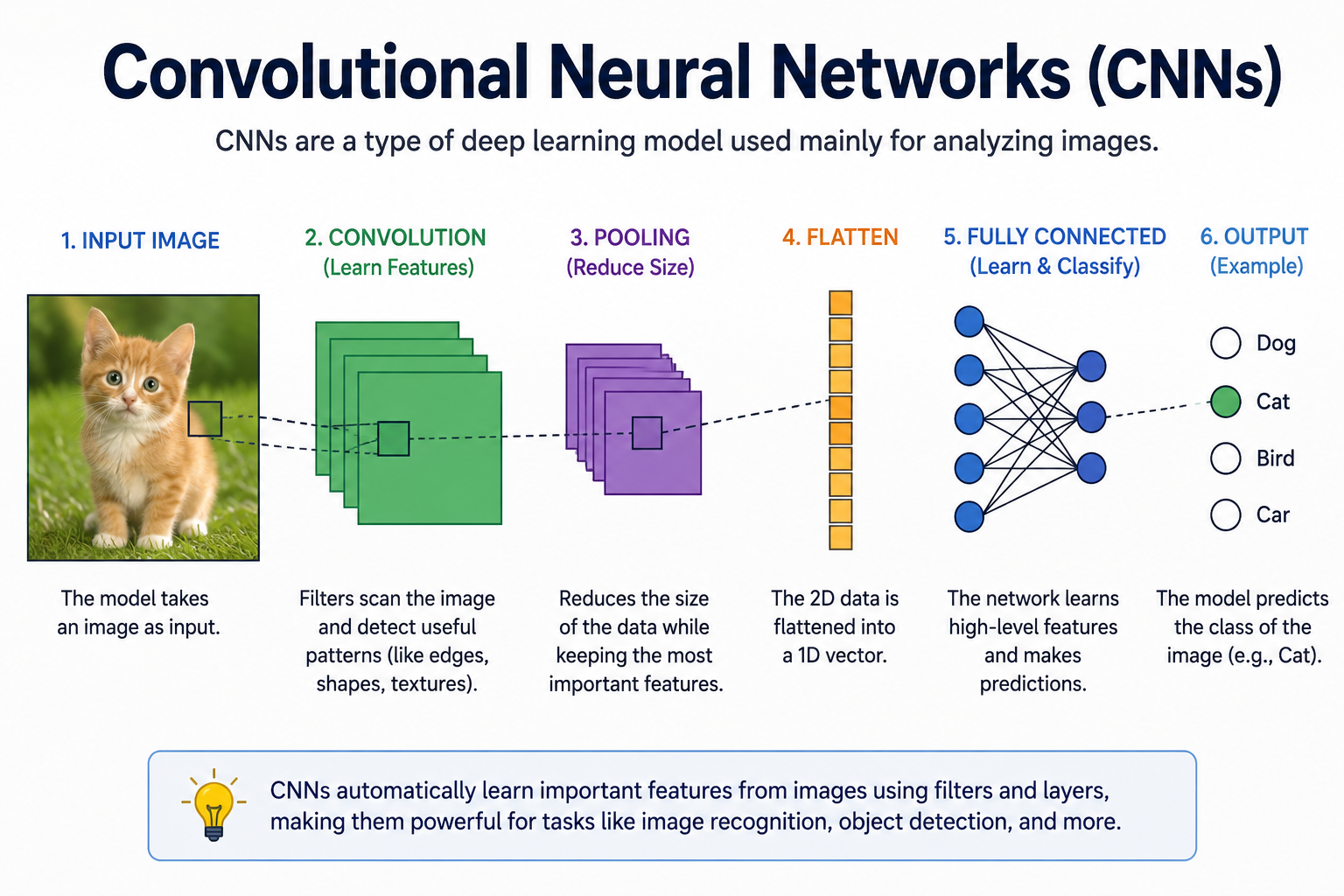 An image of a convolutional neural network