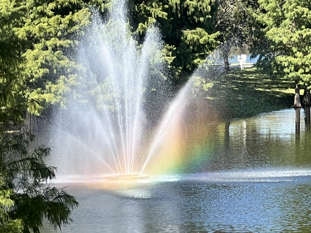 bahama bay pond fountain