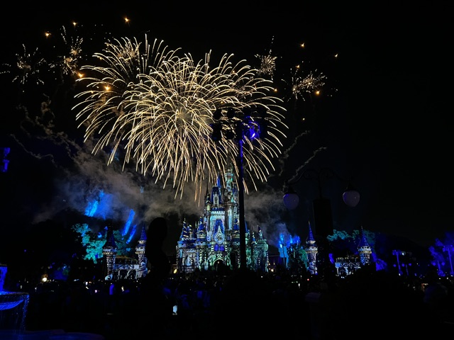 disney world castle