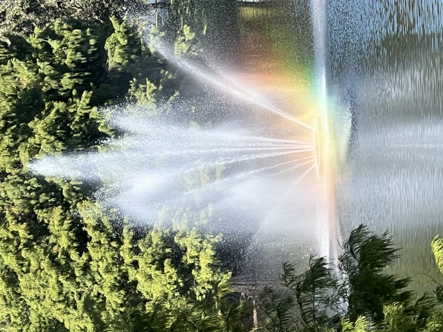 Bahama Bay Pond Fountain